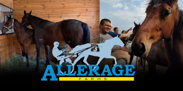 Two horses in a stable on the left; people petting horses on the right. Text reads "Allerage Farms" with a harness racing graphic.