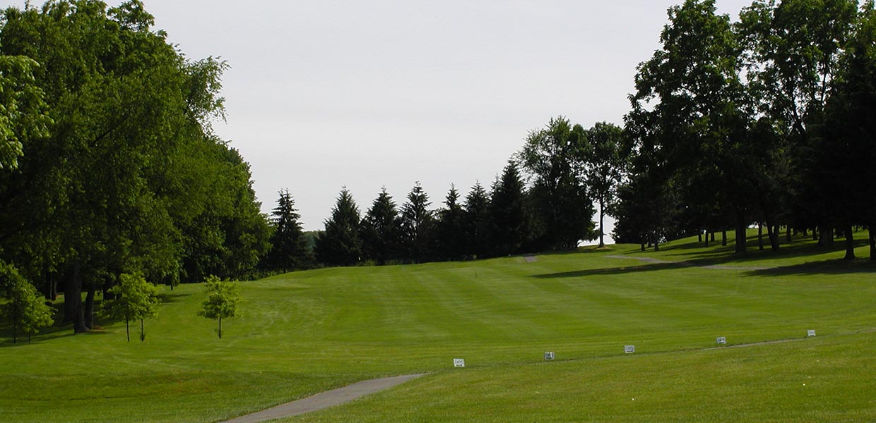 A golf course with trees and grass on the side.