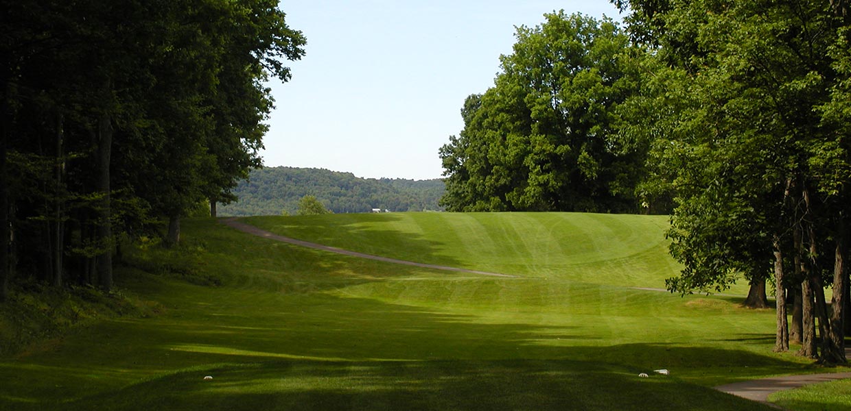 A green field with trees in the background