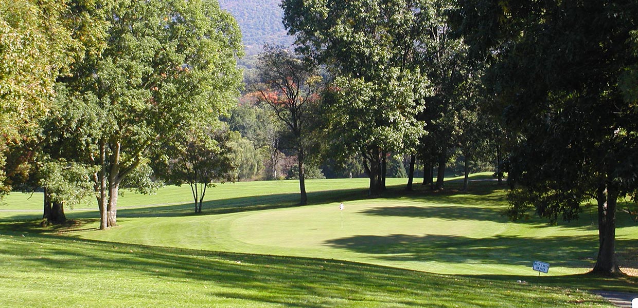A green field with trees and bushes in the background.