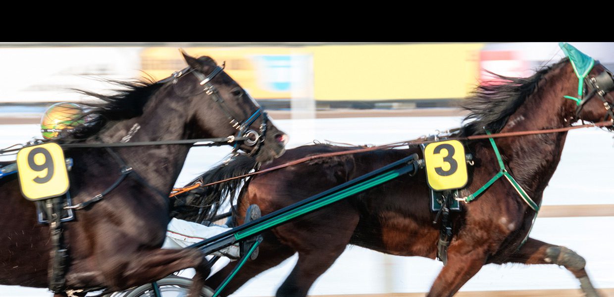Two horses are pulling a carriage with the number 3 on it.