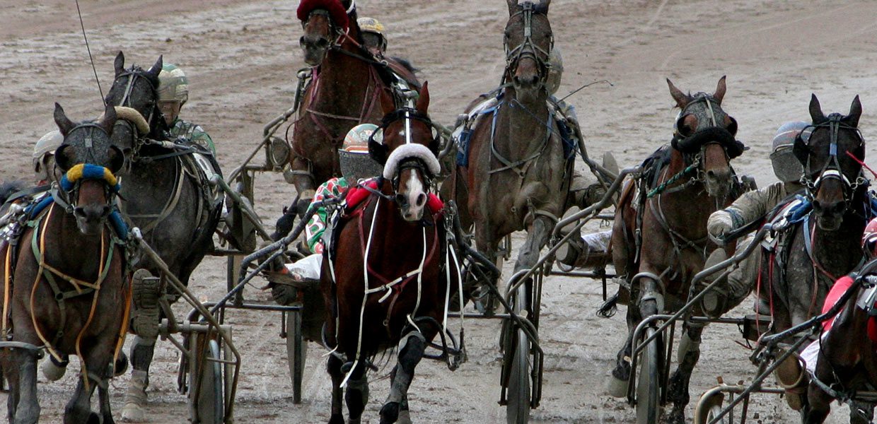 A group of horses pulling carts with a man on it.