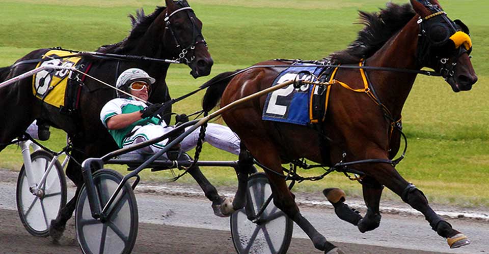 A man riding in a horse drawn carriage.