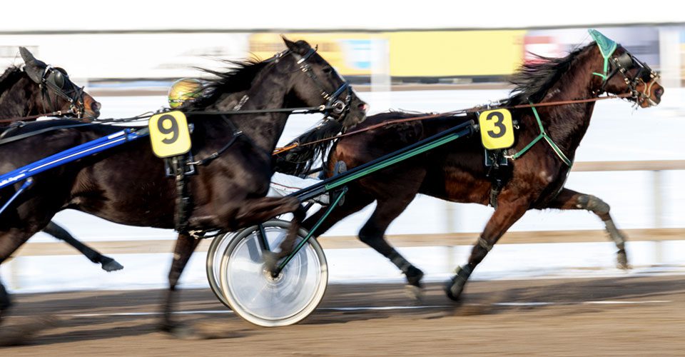 Two horses racing in a race on dirt.